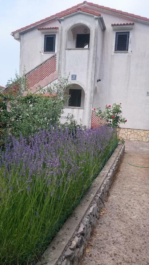 Apartmani Skrnjug Brzac Zewnętrze zdjęcie